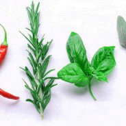 Using Culinary Herbs In Your Pizza Creations